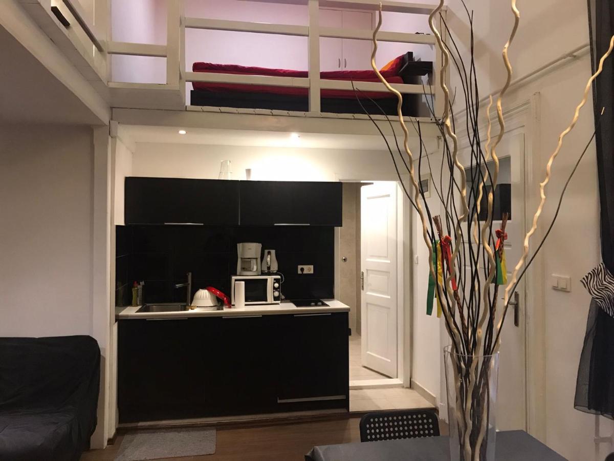 Apartmán Zonaflat - Opera Budapešť Exteriér fotografie